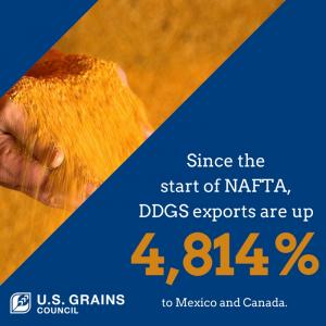 image of a Hand Dropping Grain with DDGS Export statistics