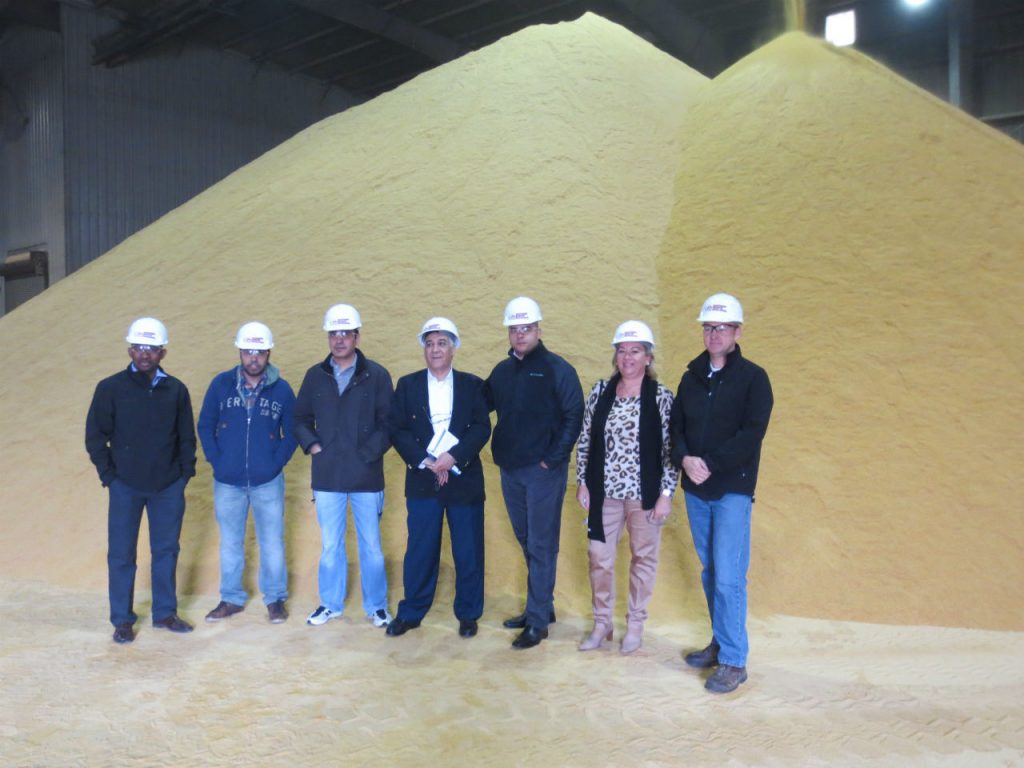 7 people in front of a pile of DDGS