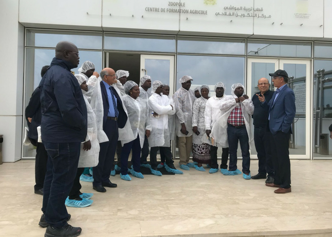 West Africa poultry training