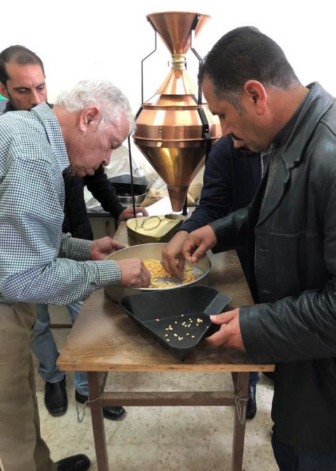 2 men sifting through grains