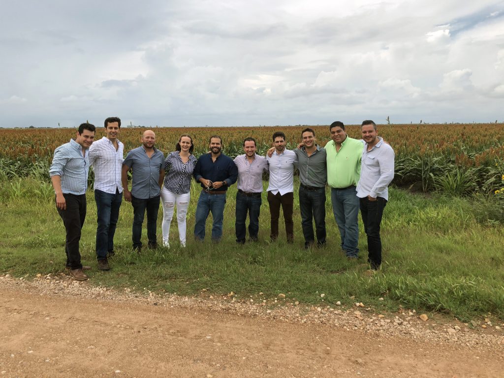 A group of Mexican agriculture leaders in a sorghum field