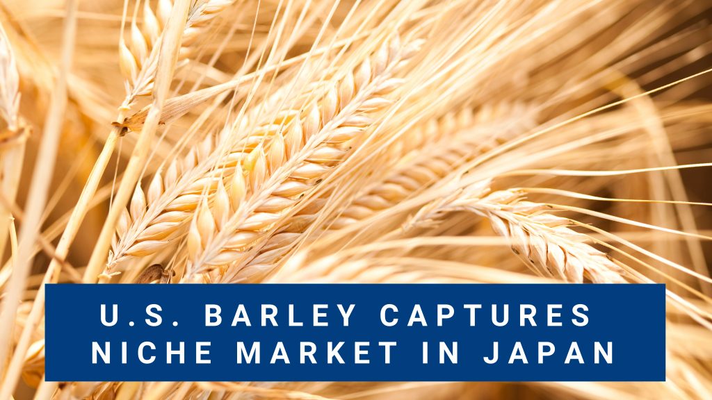 Food Barley Finds Niche Market in Japan graphic