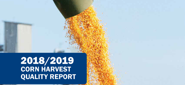 Corn Falling Out of Tube