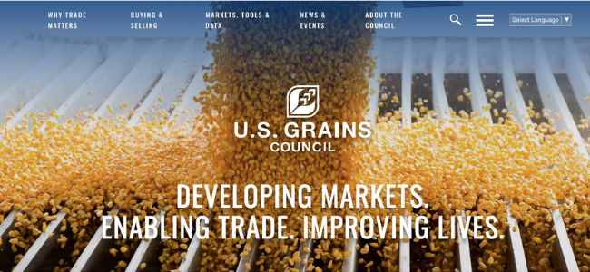 Corn Kernels Dropping On To Metal Bars