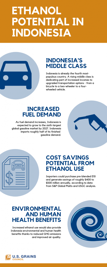 infographic on the potential of ethanol in Indonesia