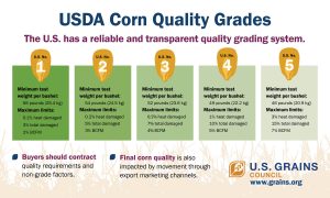 infographic on USDA corn quality grades