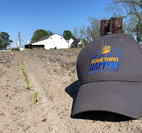 Corn Planting