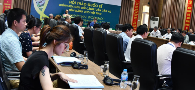 Rows of People Sitting at Conference