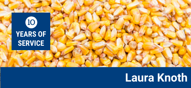 Recognition - Corn - HERO