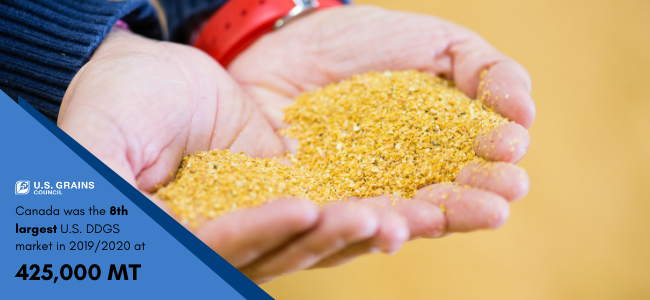 Two Palms Full of Grain