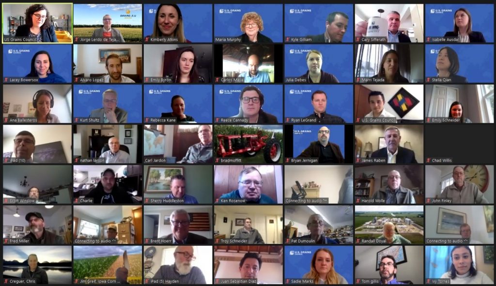 Large Online Meeting in Grid Format