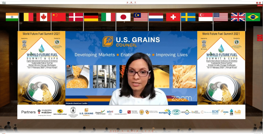 Woman Presenting Slide Under Flags