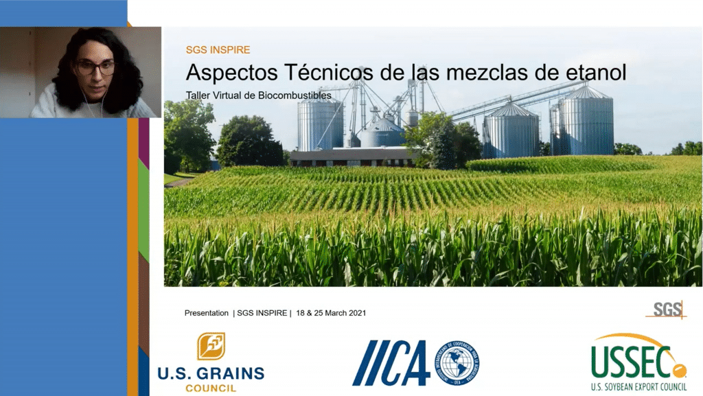 Person Presenting Technology Aspect of Ethanol Blends