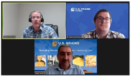 Three People in Online Zoom Meeting