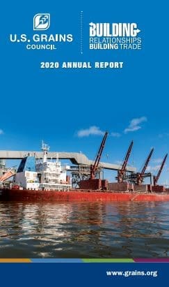 cover of 2020 annual report