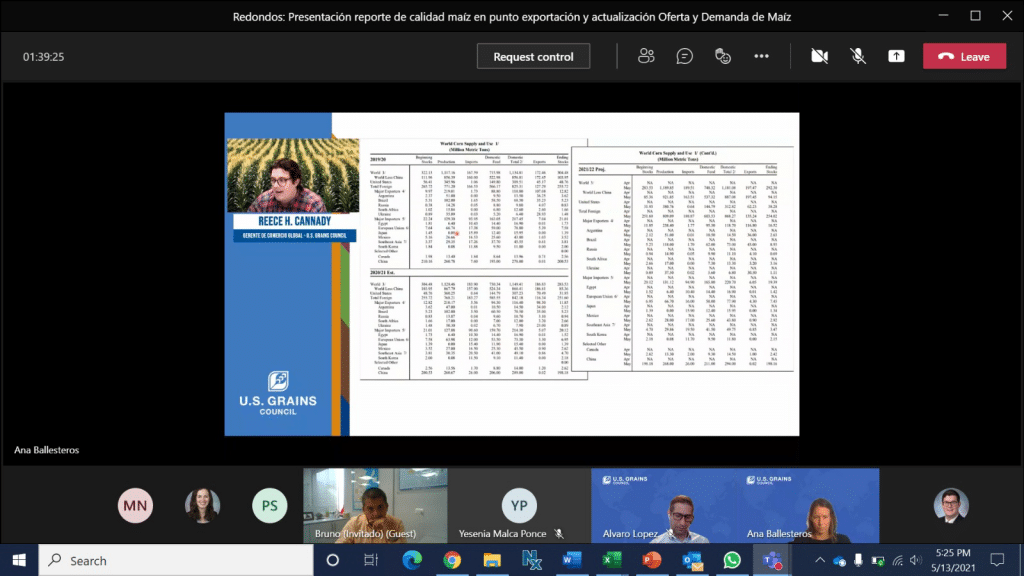 Man Online Presenting Slide in Online Meeting