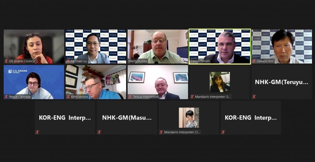 Online Meeting Between Fourteen People