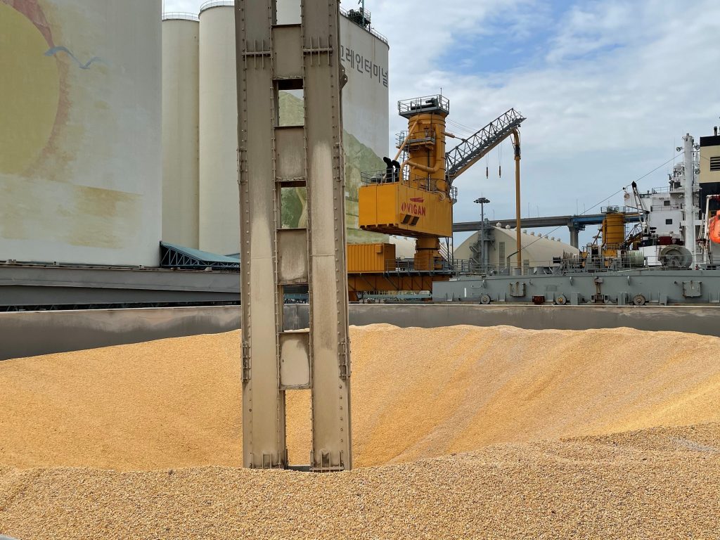 Corn Mill in South Korea