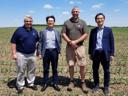 four people in a field