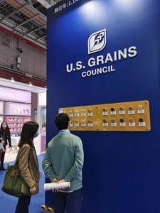 Two people view a wall of samples.