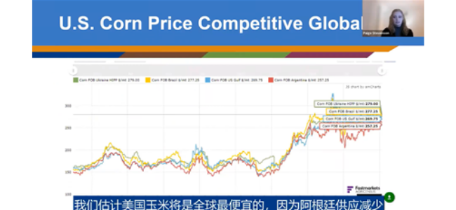 image of person giving presentation