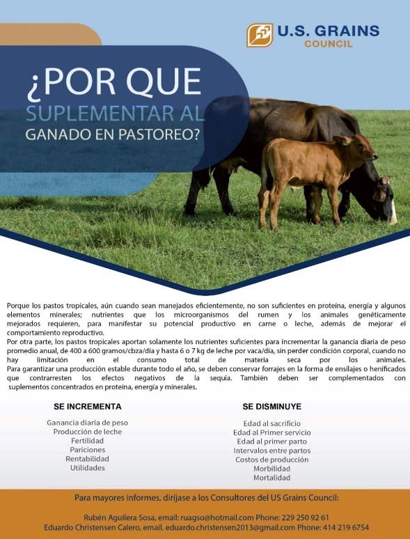 Image of a flyer promoting DDGS in Mexico