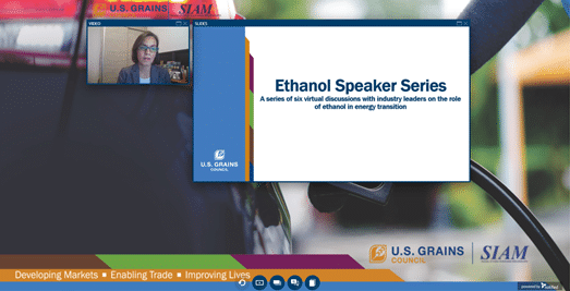 Image of woman virtually presenting