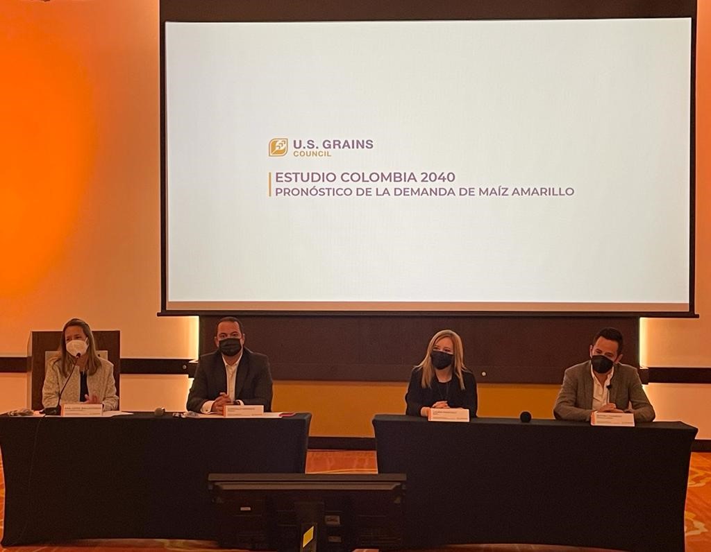 image of a panel of people