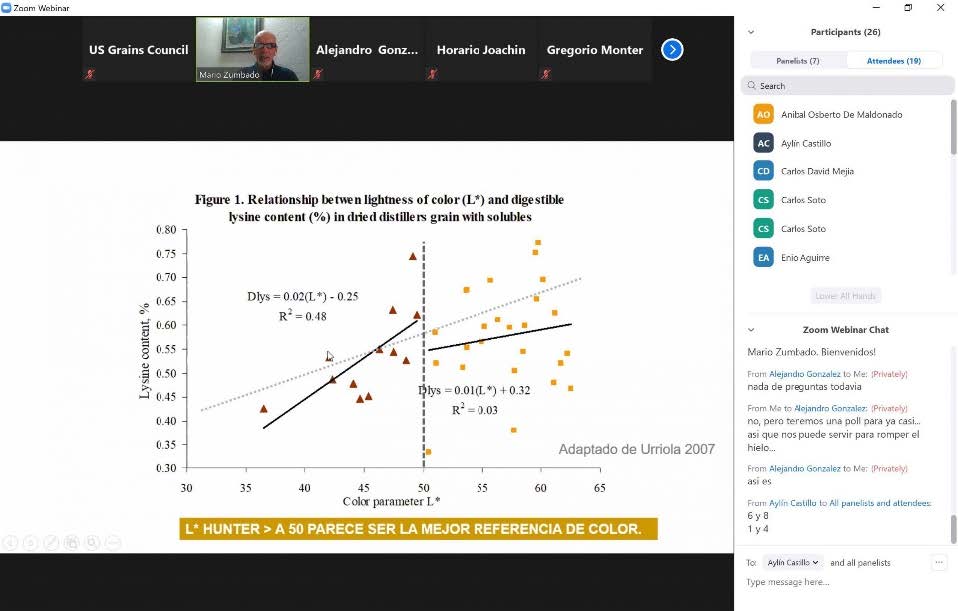 Image of zoom presentation