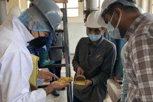 Image of three men holding corn
