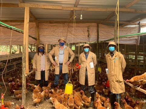 Four people standing in a chicken coop