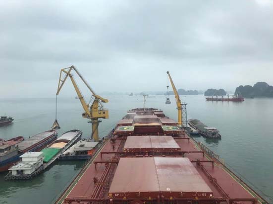 Ships being unloaded at a harbor