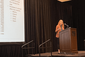 image of woman giving a presentation at a podium