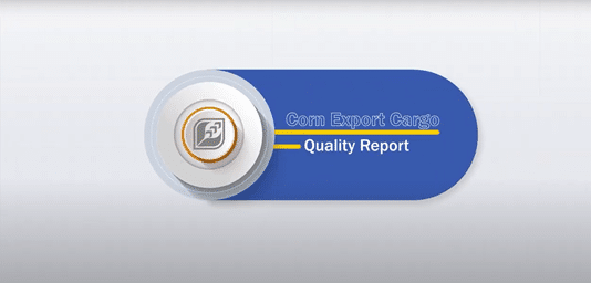 screenshot of a YouTube video