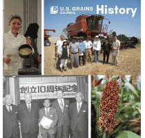 collage of historical photos from the Council's work with Japan