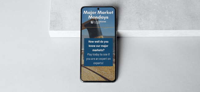 mockup of an iphone