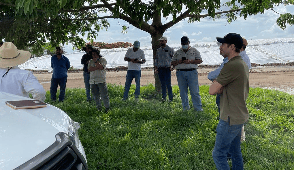 image of a group of people outside