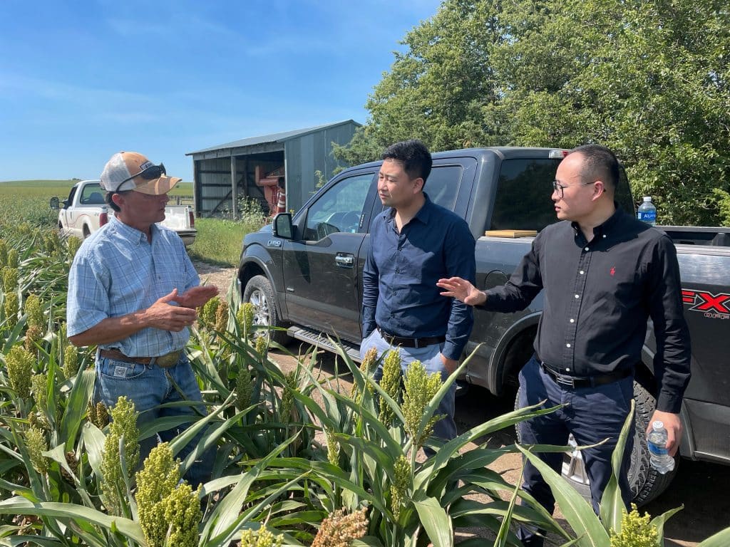 image of three men talking in a sorghum field