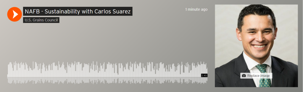 Screenshot of Sound Cloud recording