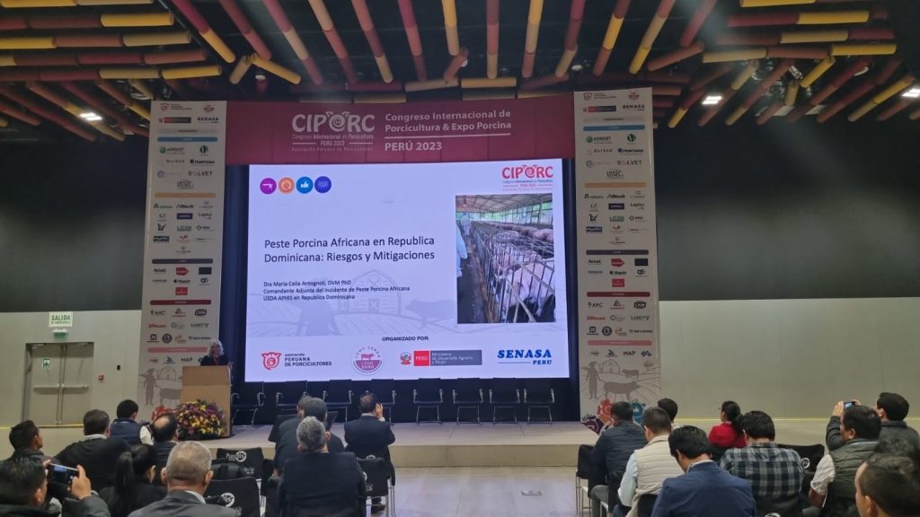 image of a projection screen