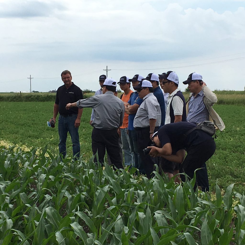 image of a group of people in a corn field