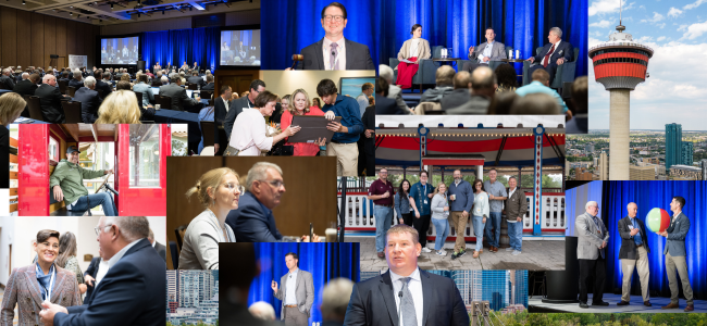 collage of images