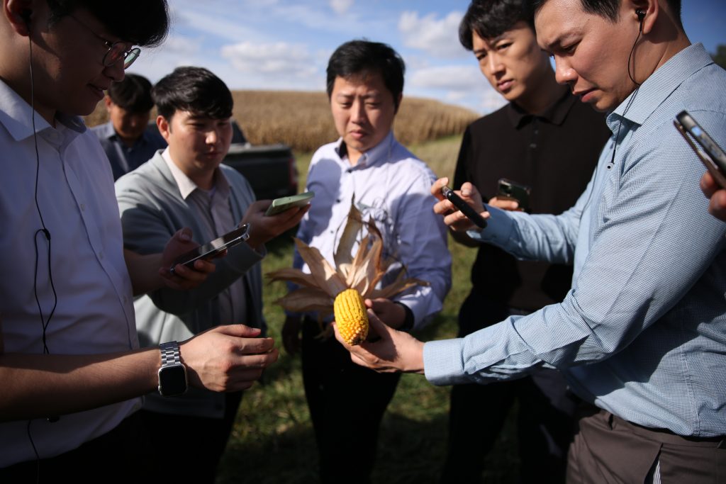 image of men looking at corn