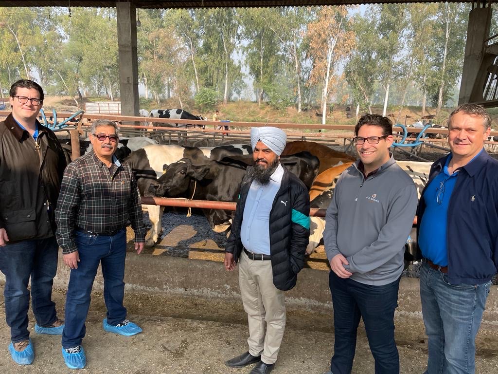 image of five men with cows