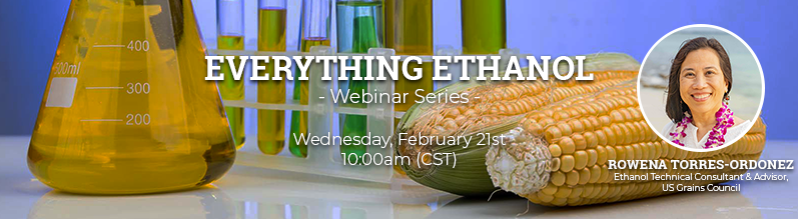 everything ethanol banner