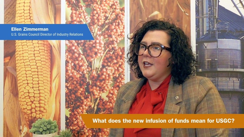 RAPP Interview_Ellen Zimmerman