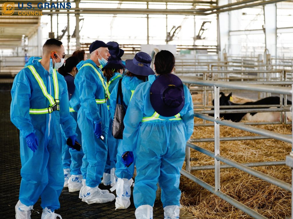 LYF01261-opq3718795365