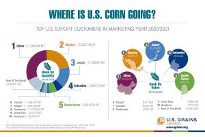 image of infographic with charts