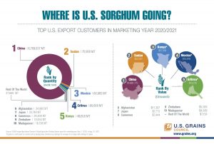 image of an infographic with charts